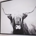 Montana House - Tv In Every Room!