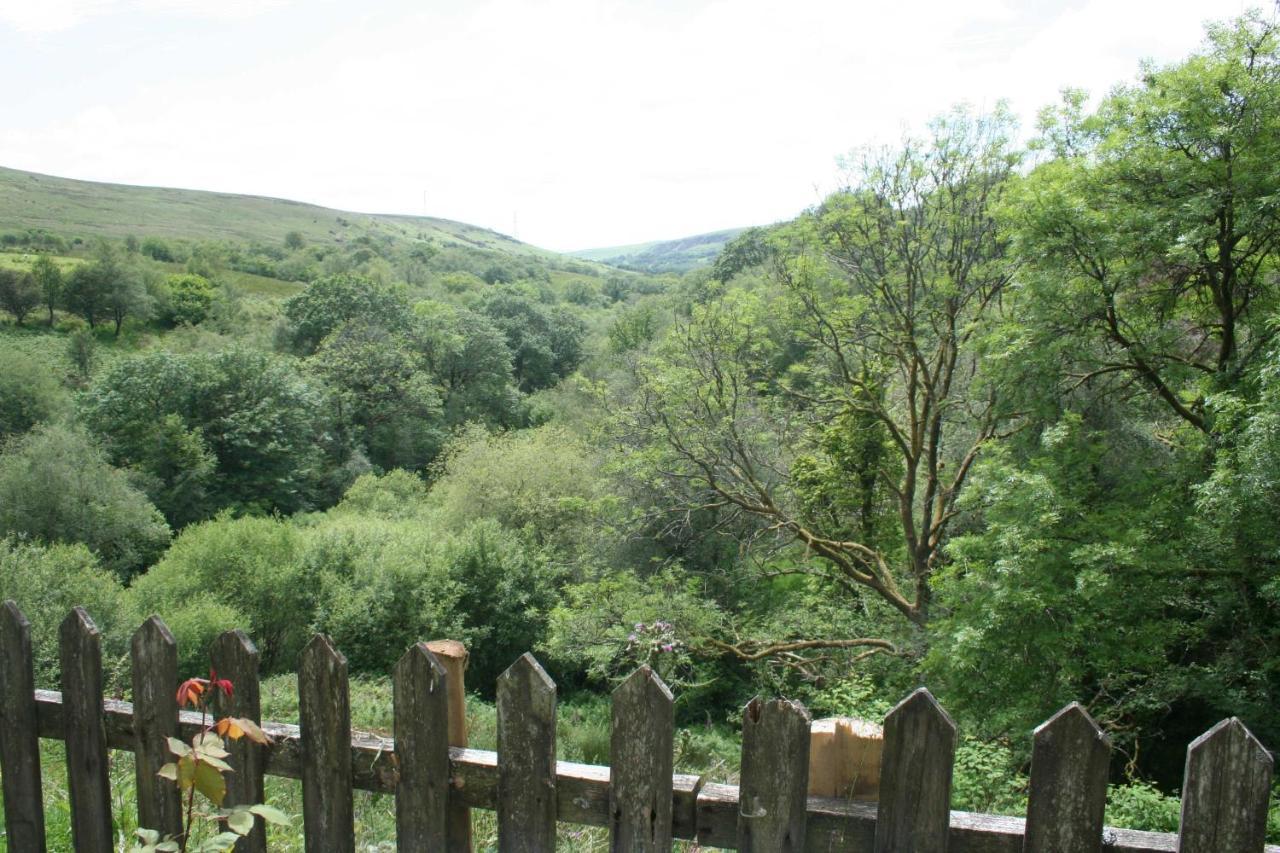 The Nook - Farm Park With Hot Tub & Dome Swansea