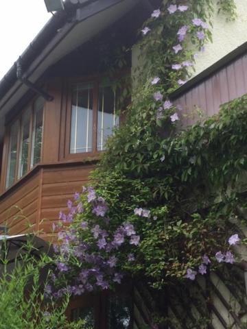 Cilbrwyn Bed & Breakfast 4*