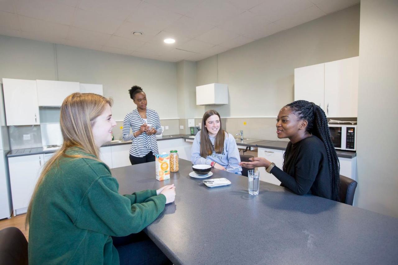 Cosy Ensuite Bedrooms With Private Bathroom At Bay Campus Located In Apartment