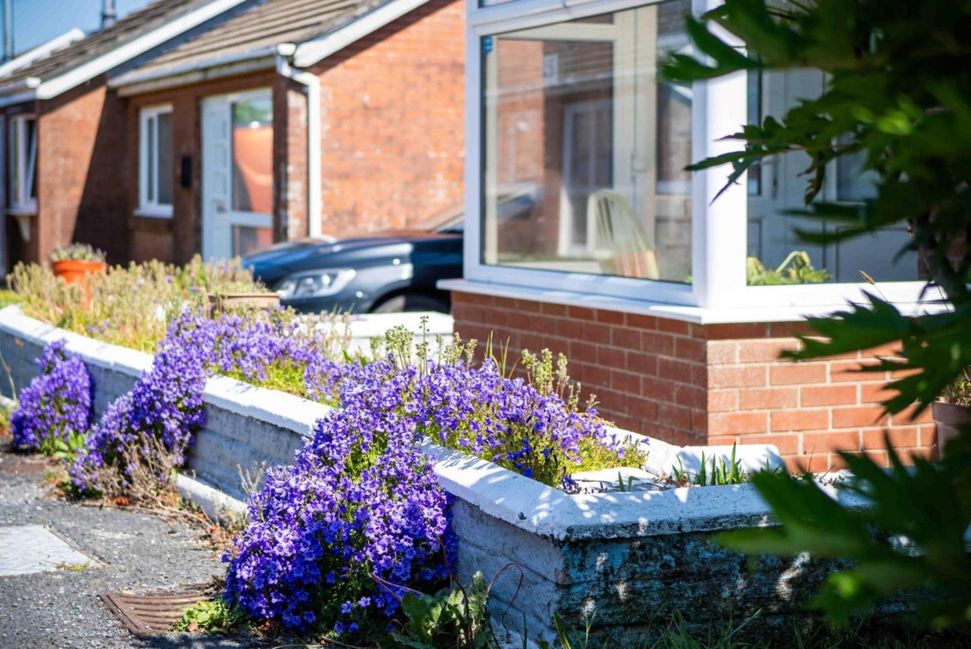 Cosy - 2 Bedroom - Mumbles * Swansea