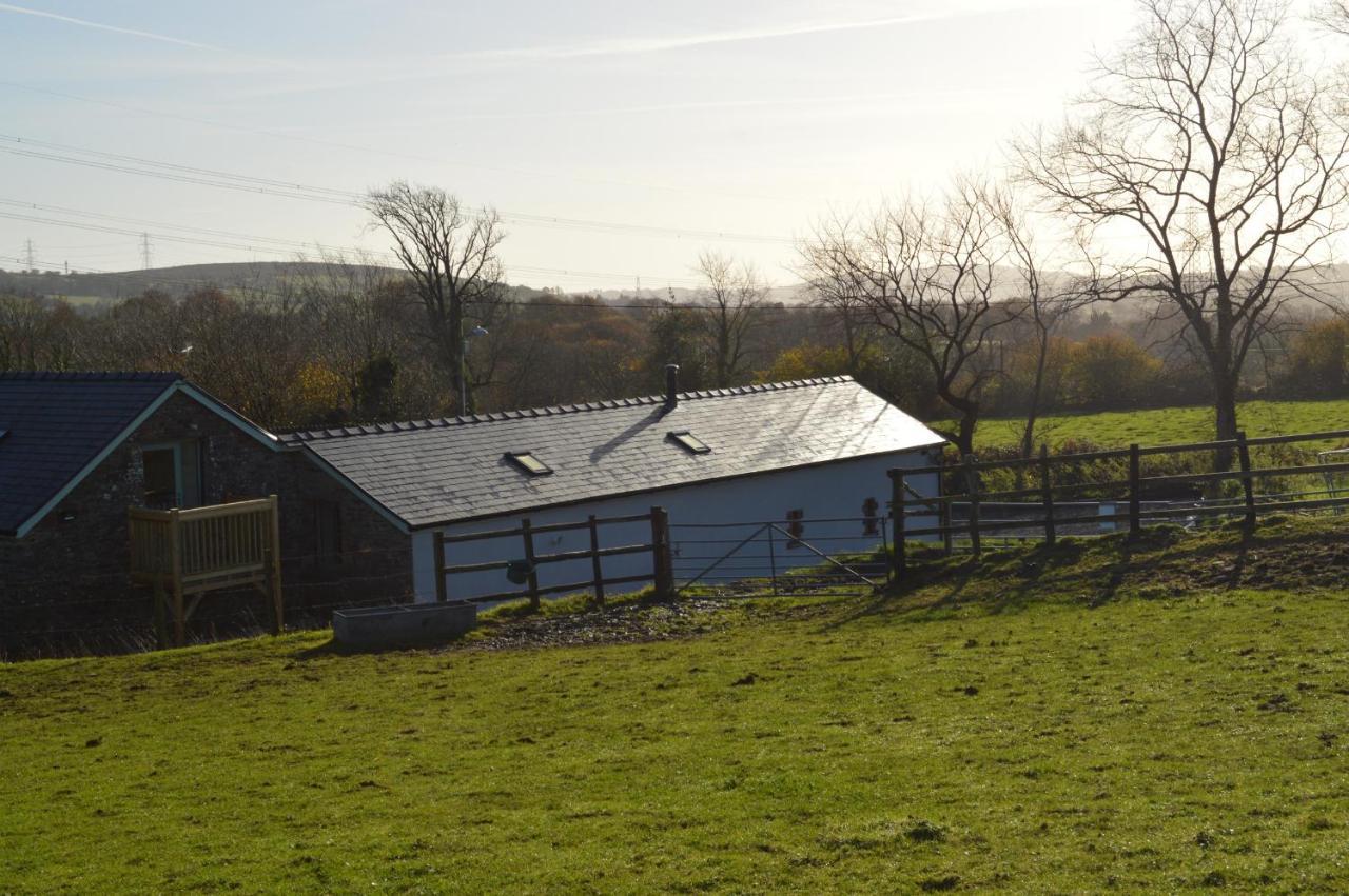 Cwrt Y Wennol Holiday home *