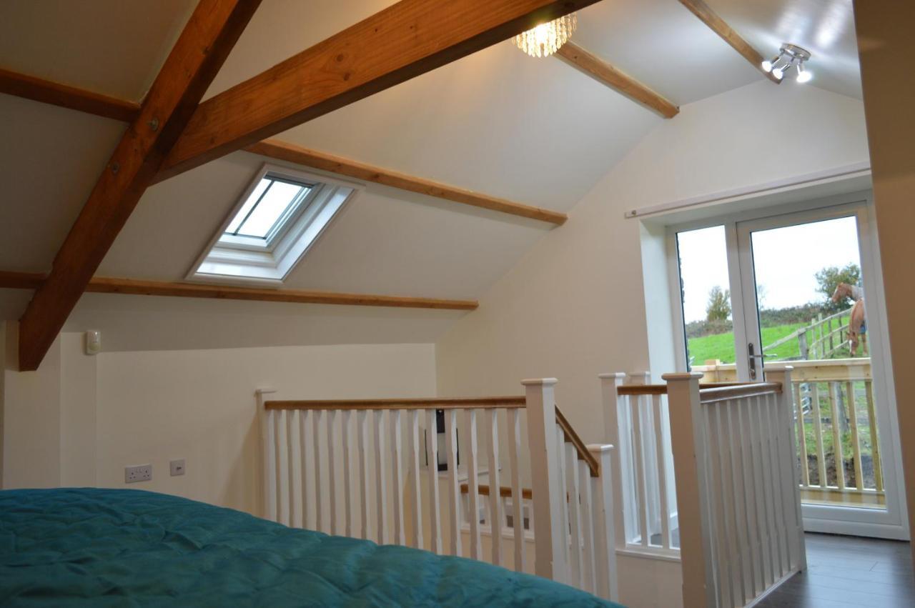 Cwrt Y Wennol Holiday home *