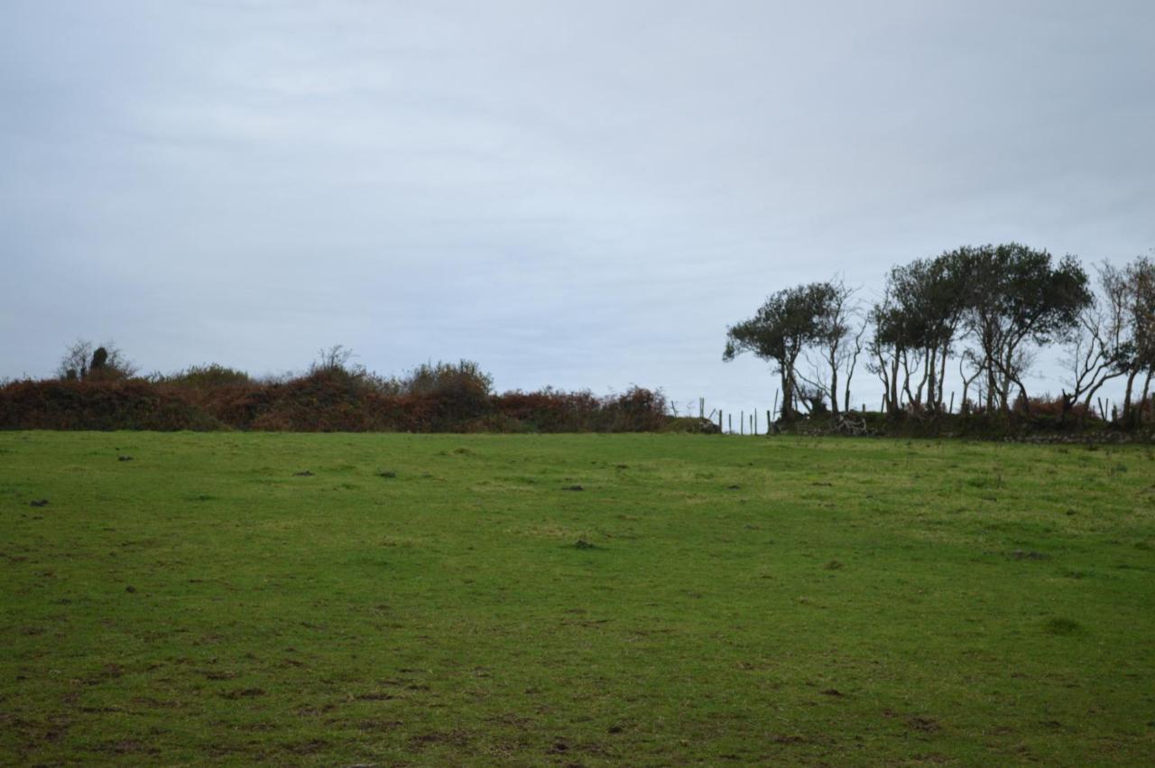 Cwrt Y Wennol Holiday home