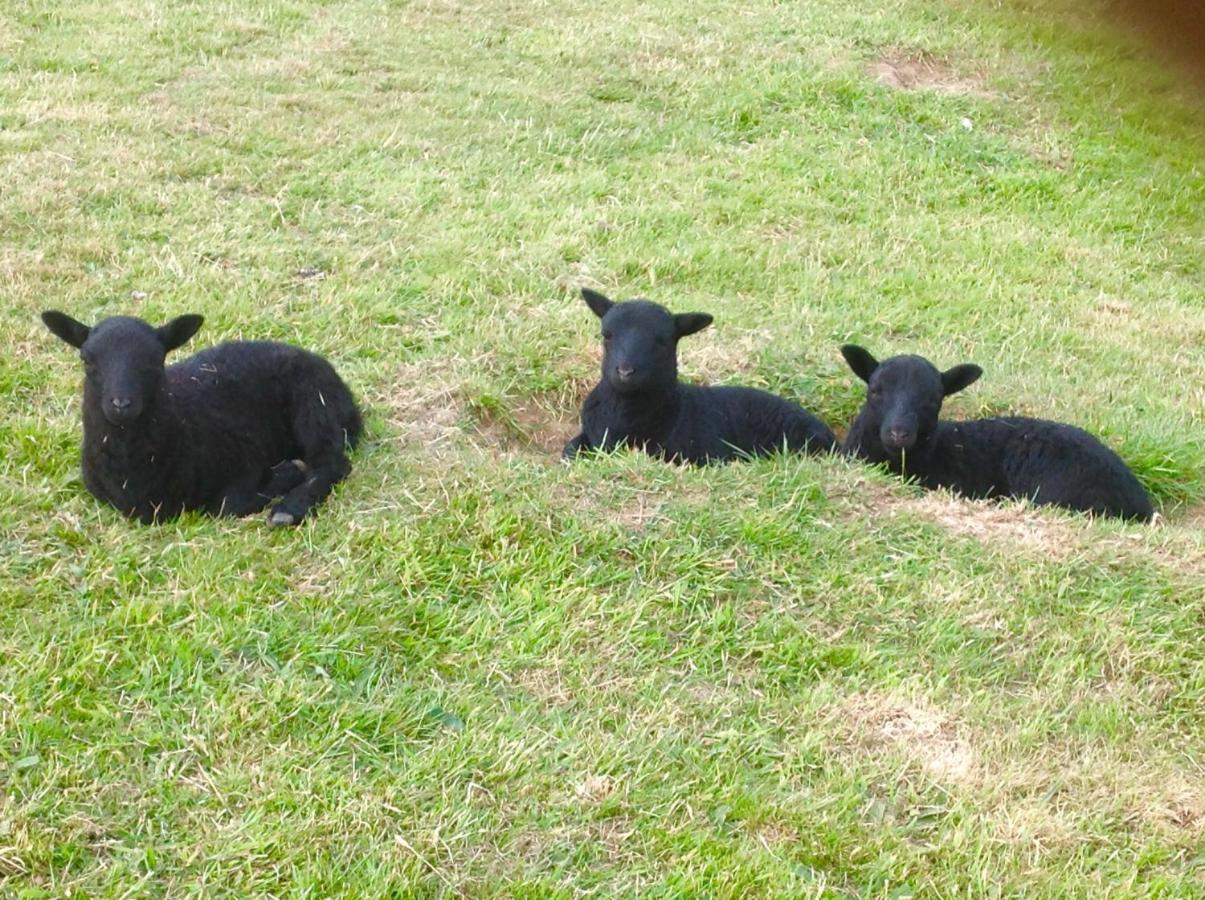 Molehill