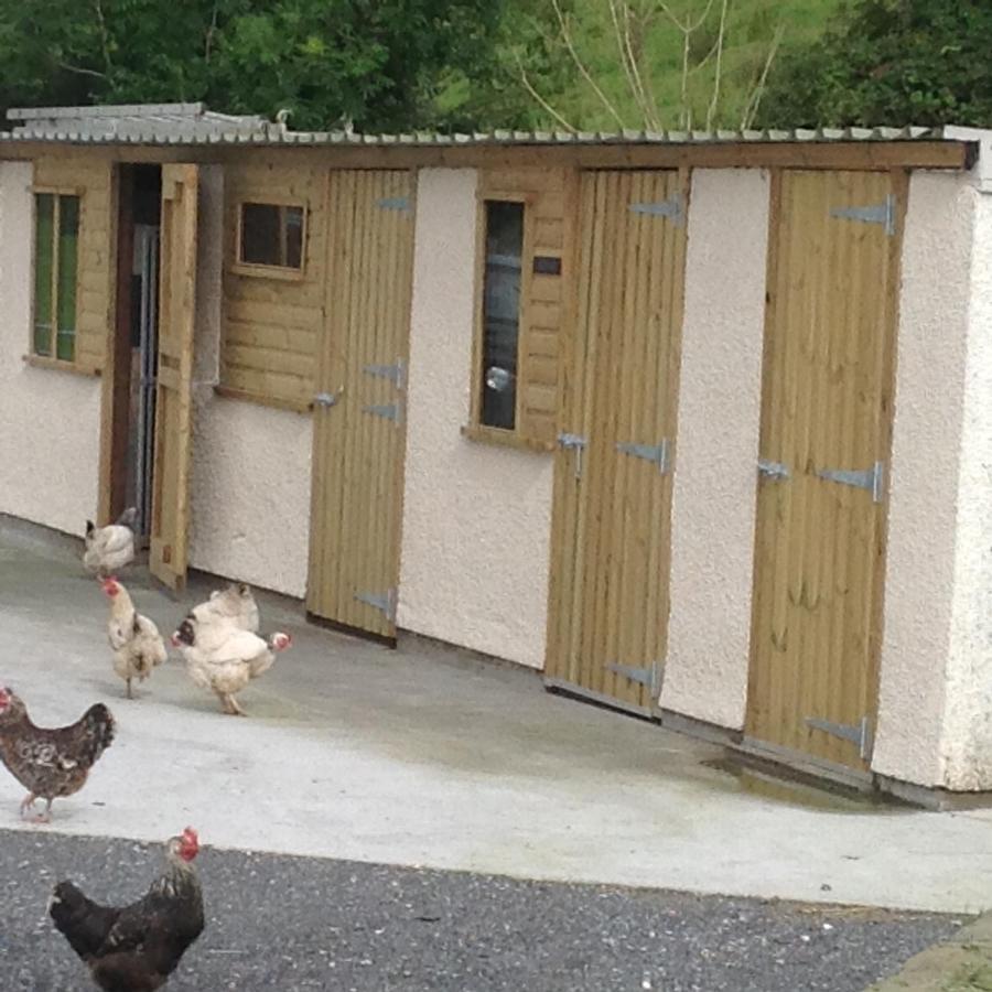 The Little Cow Shed *