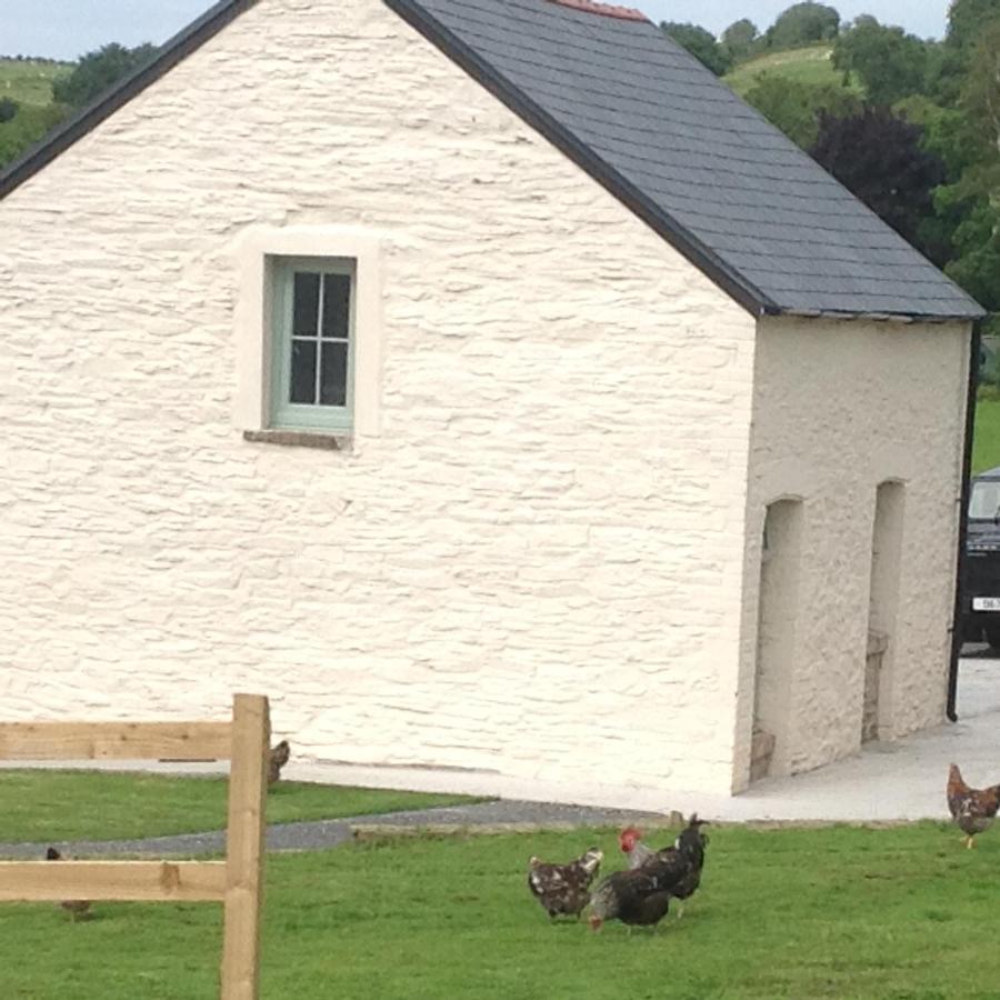 The Little Cow Shed *