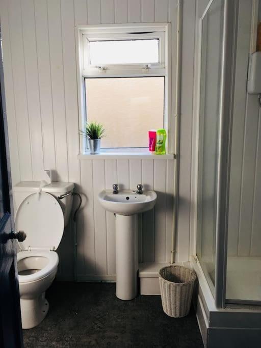 Hillcrest Cottage, Comfy Flat, Trendy Uplands Area * Swansea