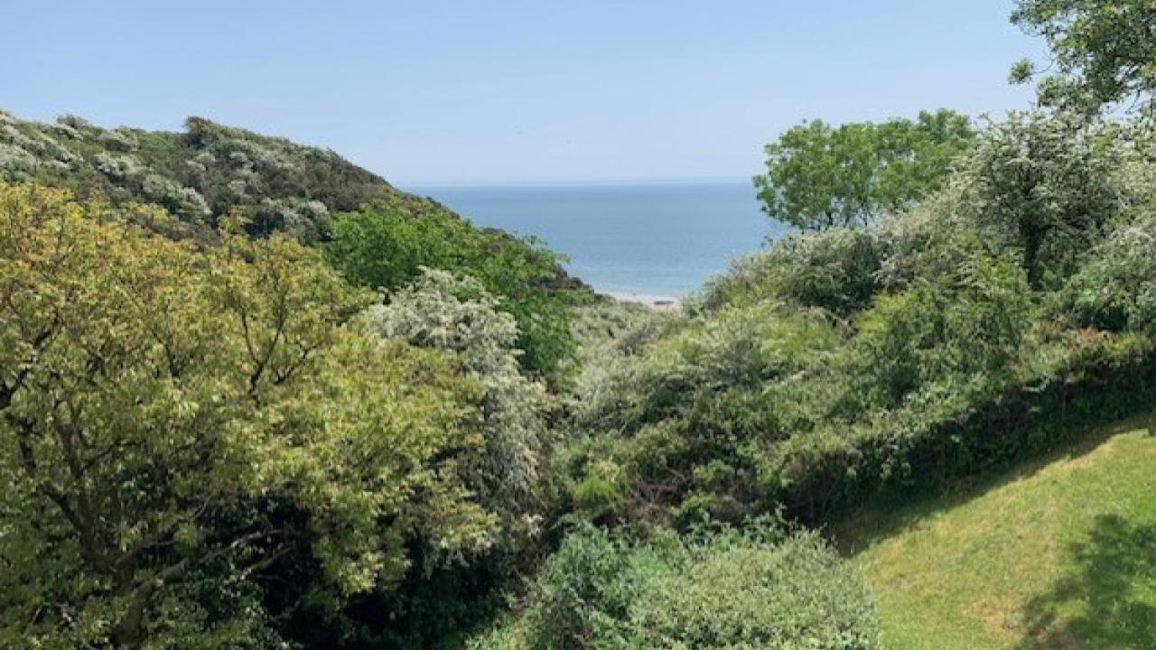 High Kiln Bank, Slade