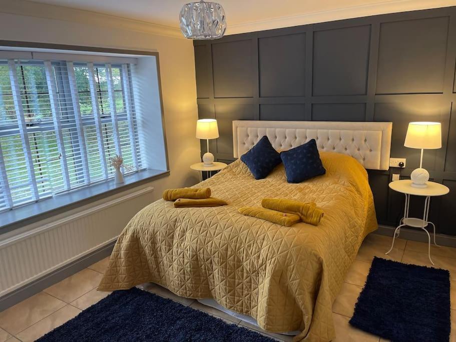 Spacious 1 Bed Located On A Gower Sheep Farm Holiday home *