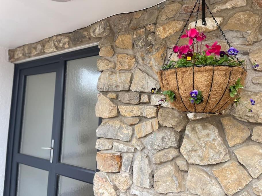 Spacious 1 Bed Located On A Gower Sheep Farm Holiday home