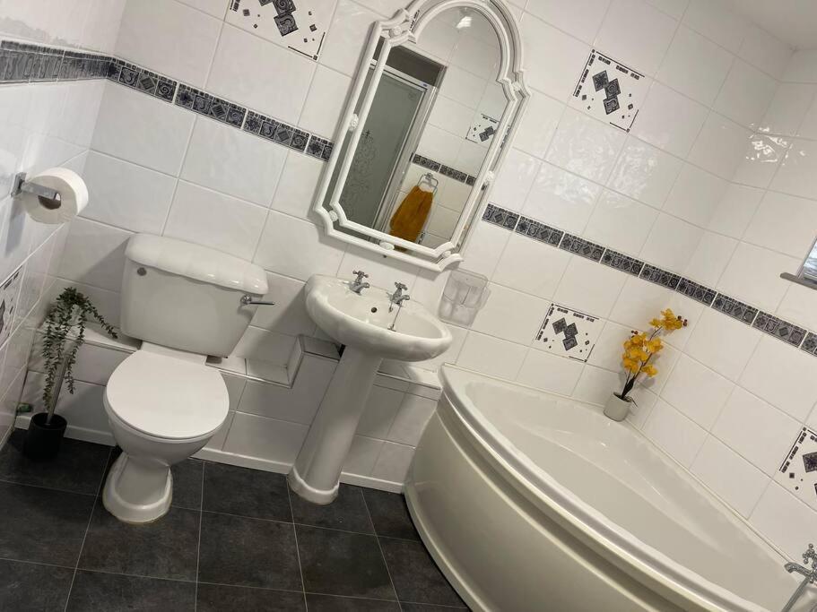 Spacious 1 Bed Located On A Gower Sheep Farm