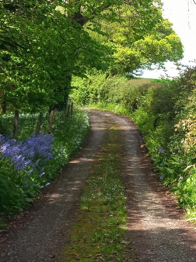 Vineyard Barns Gower Swansea