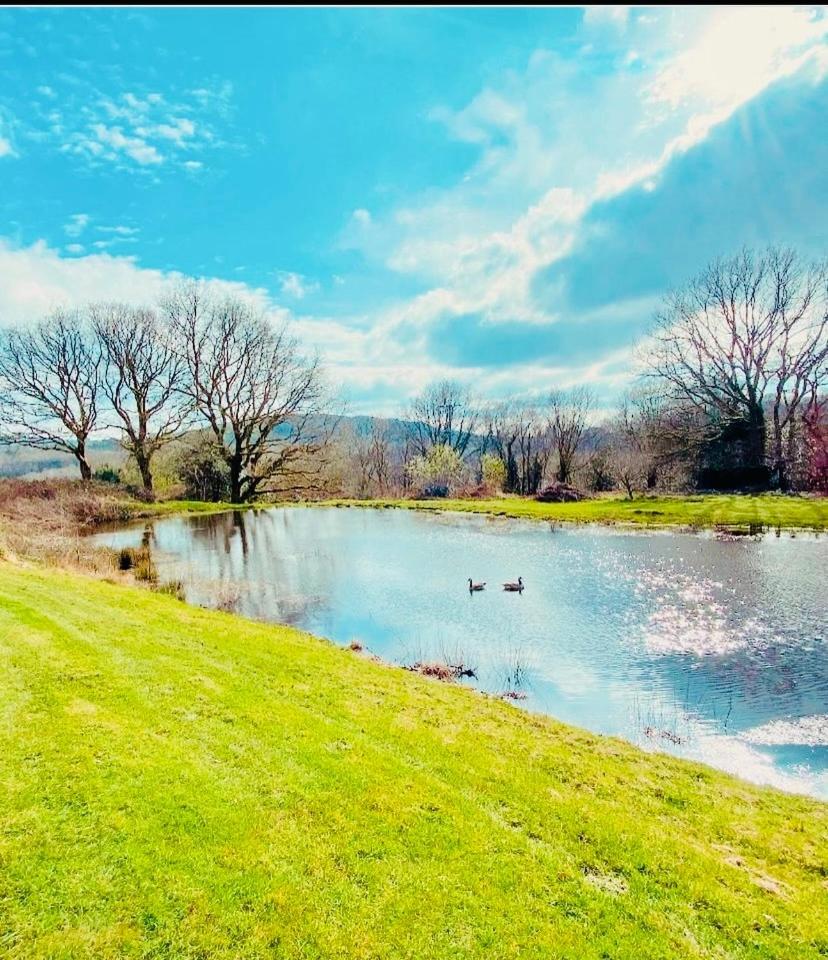 The Swansea
