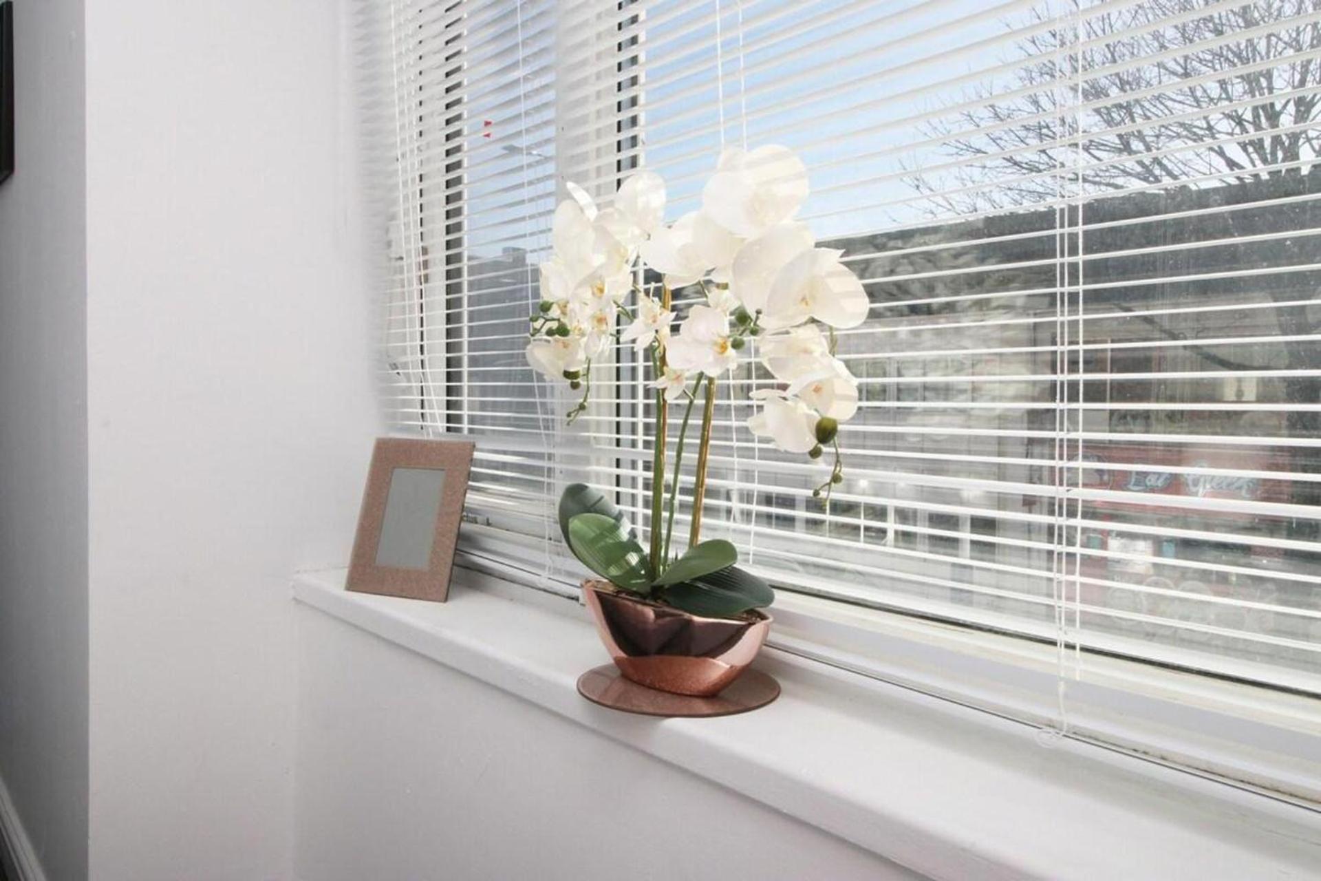 Apartment Comfortable 5-bedroom Free Parking Swansea
