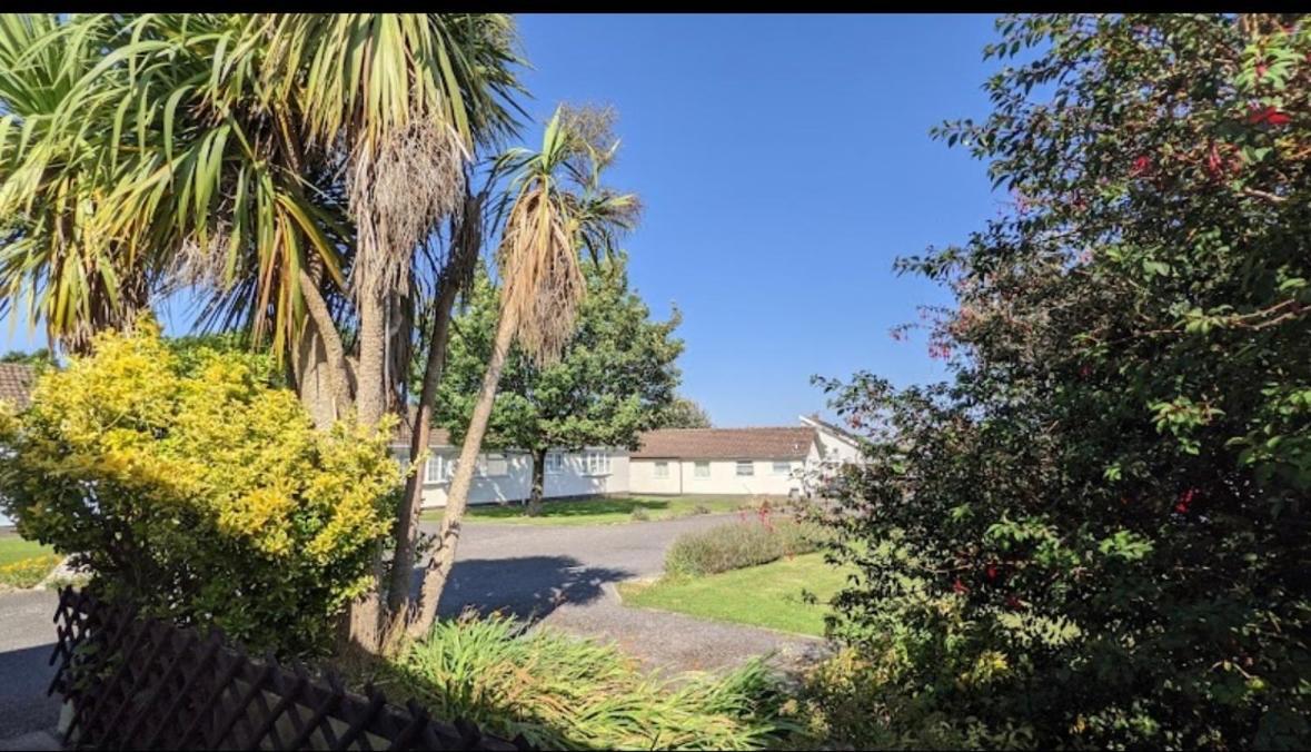 Chalet From Family Break In Gower *