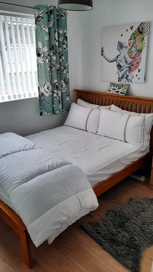 2 Bedroom To Yourself, Free Parking, Dogs Welcome Apartment Swansea