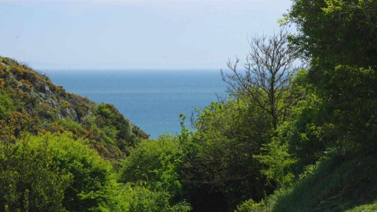 Kiln Bank, Slade Swansea